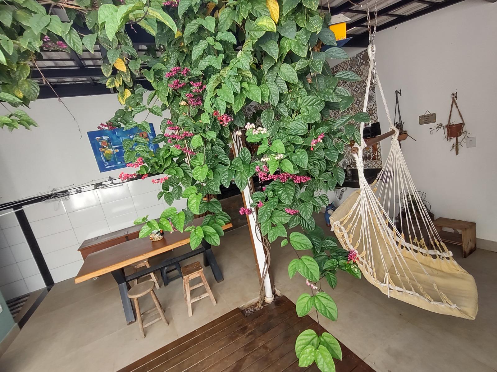 Casa 3 quartos, Quintal com espaço gourmet — miniatura 4