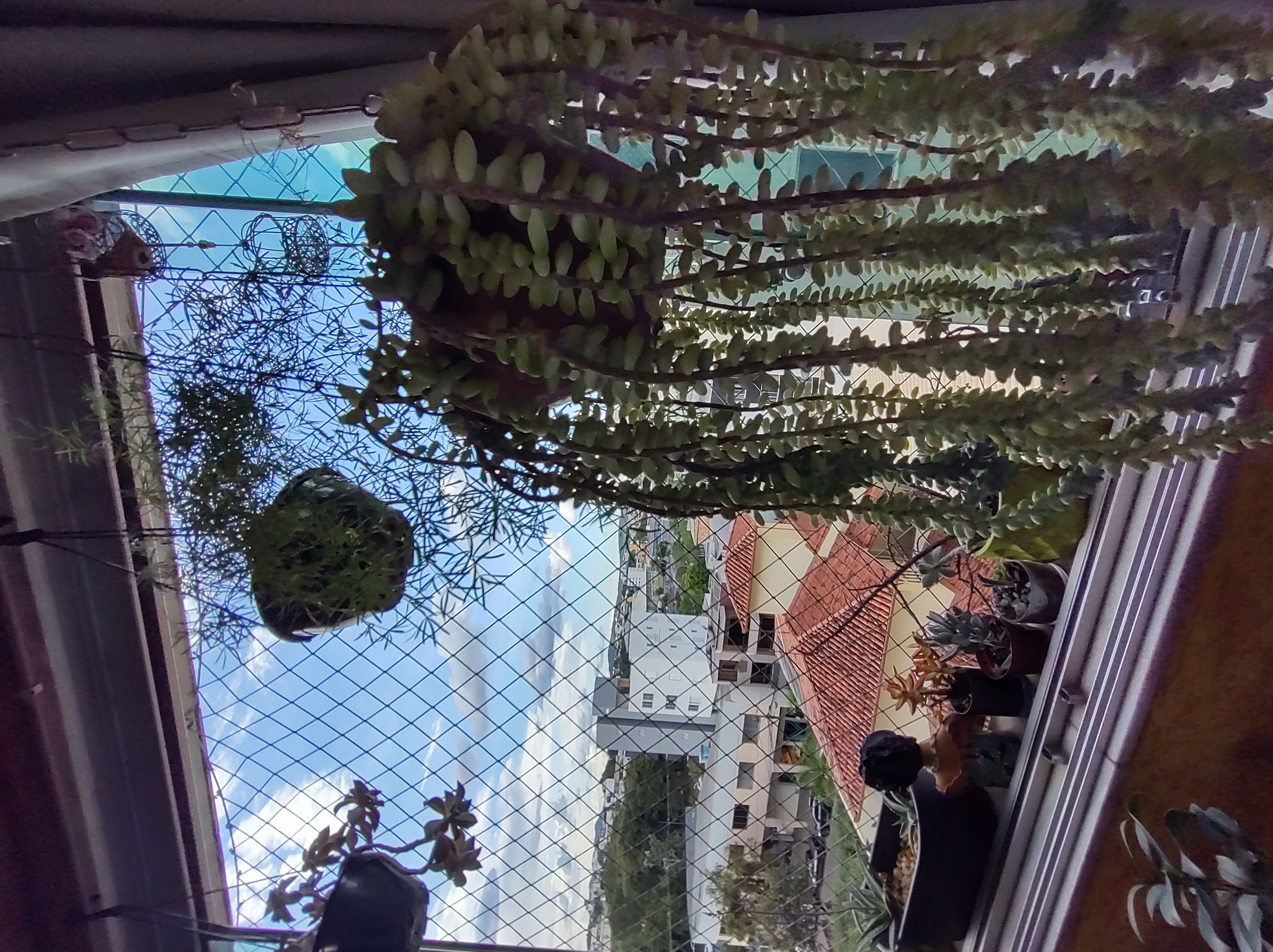 Apartamento 3 Quartos Jardim da Cidade — miniatura 9