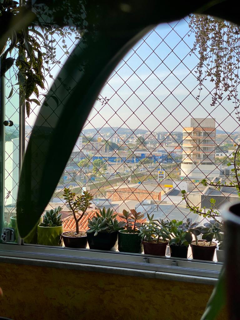 Apartamento 3 Quartos Jardim da Cidade — miniatura 3